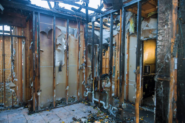 Professional Structural Rebuild technician working in Crystal Beach, FL